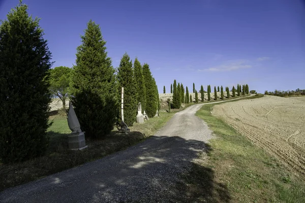 La imagen clásica de la carretera rural con ciprés de la Toscana alrededor de Pienza — Foto de Stock