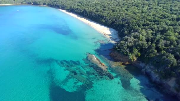 Légi felvétel egy tökéletesen kristálytiszta kék türkiz vízről a trópusi paradicsomban — Stock videók