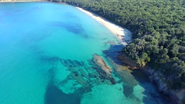 Aerial Footage Perfectly Crystal Clear Blue Turquoise Water Tropical Paradise — Wideo stockowe