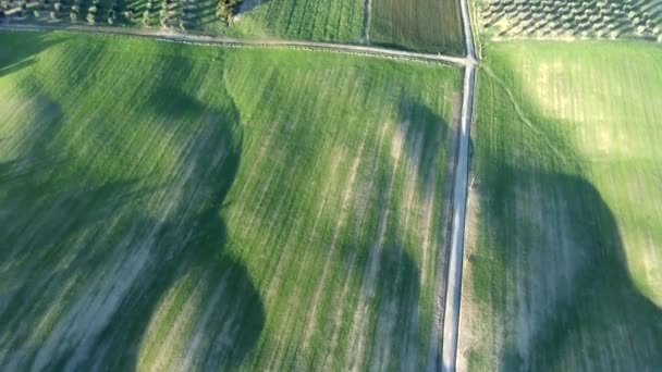 Naturaleza Aérea Paisaje Hermosas Colinas Bosques Campos Viñedos Toscana Atardecer — Vídeos de Stock