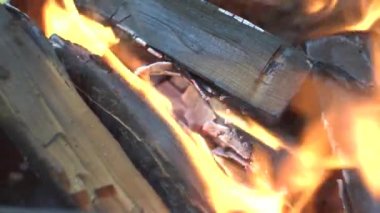 Doğada şenlik ateşi. Şöminede odun parçaları yanıyor..