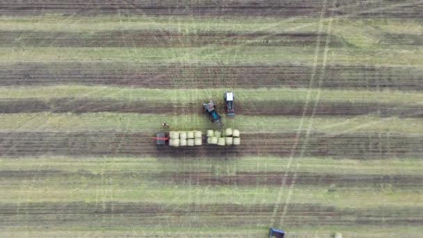 Bir saman traktörünün hava görüntüsü saman balyalarını toplamak ve yüklemek — Stok video