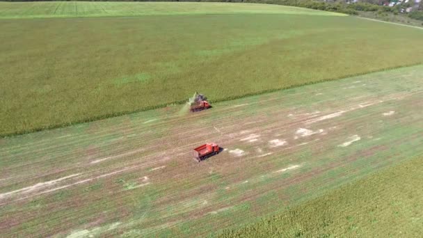 Traktorer och maskiner för skörd av majs på hösten, hisnande utsikt över luften. — Stockvideo