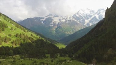 Gün batımında Dağ 'daki çam ağaçlarının üzerinden geçen Hava Aracı Görüntüleme Uçuşu