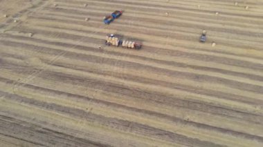 Çiftlik traktörü, uzun vadeli depolama için kamyonda biçilmiş ve kurutulmuş saman ruloları topluyor..