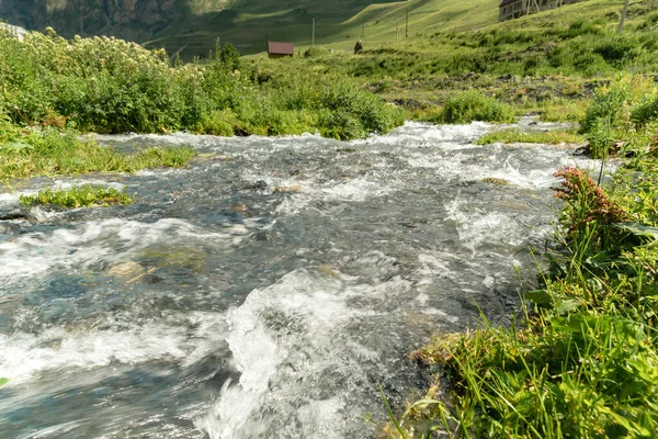 Agua Río Montaña Desde Glaciar Valle Hermoso Paisaje Del Cáucaso — Foto de Stock