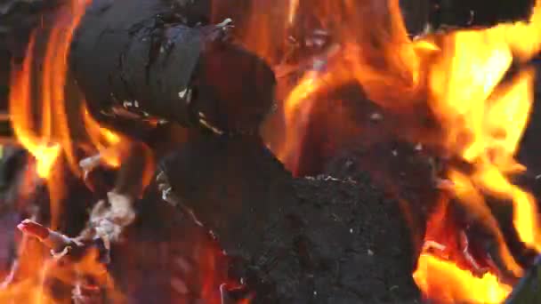 石炭はグリルで燃焼され、火は木を木炭に変えます — ストック動画