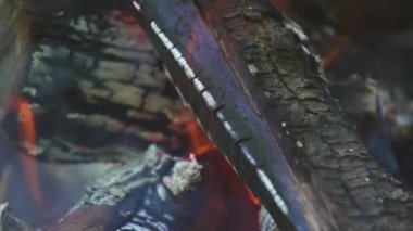 Kömür ağaçları yakıyor, ateş odunu ormandaki kömüre dönüştürüyor.