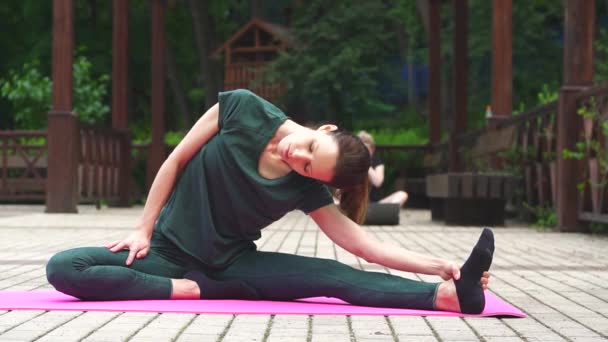Mujer Deportiva Practicando Clases Yoga Entrenamiento Parque Verano Haciendo Ejercicio — Vídeo de stock