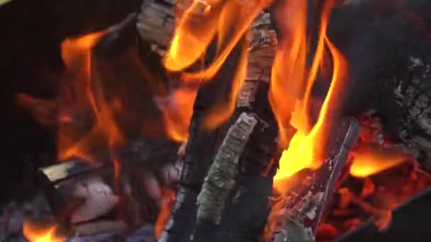 石炭の木を燃やせ。石炭、メンバー、輝く石炭. — ストック動画
