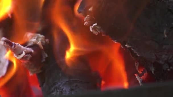 Yanan ateş, şömineye yakın odun kömürü. — Stok video