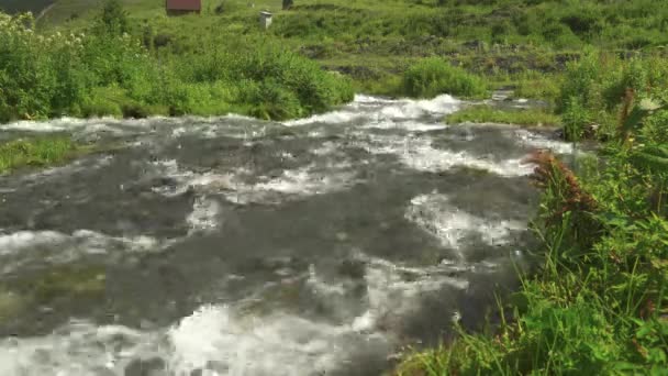 Wild Mountain River Close Up abbondante Clear Stream. Dettaglio Filmati b-roll statici — Video Stock