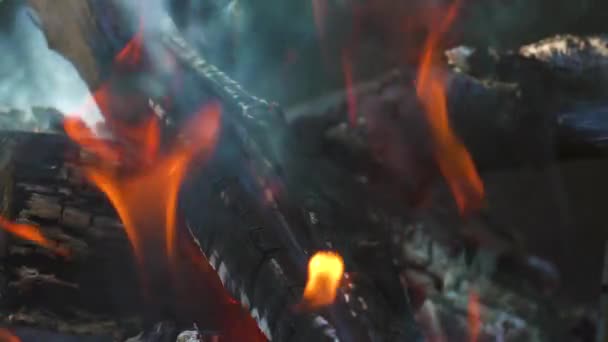 Burning fire, firewood coal closeup in the fireplace — Stock Video