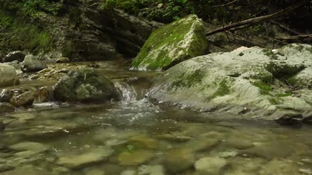 Horská řeka zavřít s malým vodopádem. — Stock video