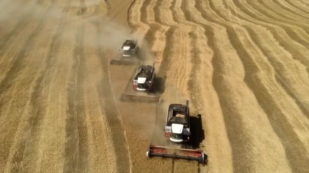 Combines in the field. Aerial view of harvesters. Season of gathering crops. — Stock Video