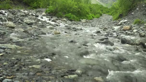 Rio de montanha selvagem perto com fluxo claro . — Vídeo de Stock