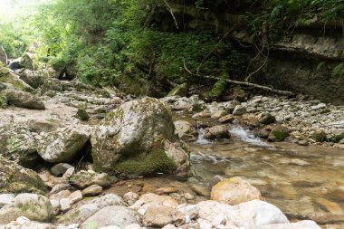 Orman deresi taşların arasından akıyor. Seçici odaklı uzun pozlu doğa manzarası