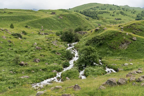 Bela Cachoeira Poderosa Nas Montanhas Cáucaso Encostas Verdes Paisagem Natural — Fotografia de Stock