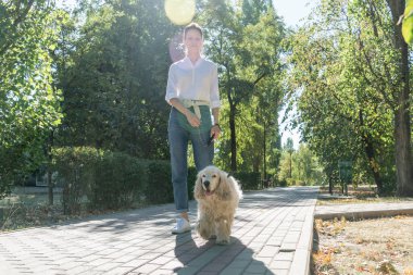 Mutlu yaşlı köpek portresi ya da spanyel, yakın çekim. Yaz günü yaşlı bir hayvanla parkta yürümek.