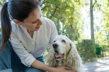 Mutlu yaşlı köpek portresi ya da spanyel. Yaz günü yaşlı bir hayvanla parkta yürümek. Aile Hayvanlarının Yaşam Serisi Günü