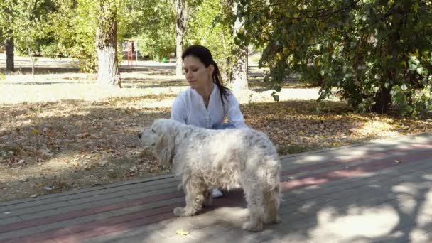 Γέρικο Σκυλί Την Ιδιοκτήτρια Περνάει Μια Μέρα Στο Πάρκο Παίζοντας — Αρχείο Βίντεο