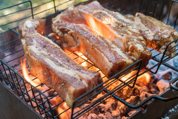 Churrasco Costelas Porco Cozinhar Fogo Grill Tiro Com Foco Seletivo — Fotografia de Stock