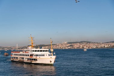 Yolcu feribot gemisi İstanbul, Türkiye 'deki Boğaz' da bulunuyor.