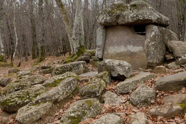 Dolmen büyük bir zemin üzerinde altın solmuş yapraklar taşlarla çevrili bir ormanda