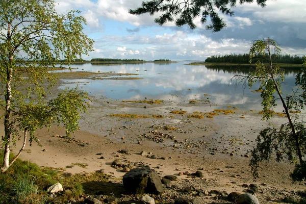 Rezerva Kandalaksha Letní Pohled Jezero — Stock fotografie