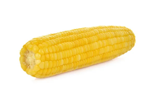 Corn Isolated White Background — Stock Photo, Image