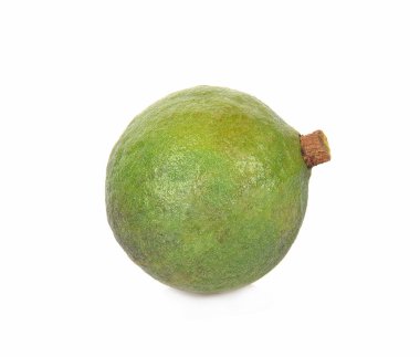 Beyaz arka planda Macadamia fındıkları