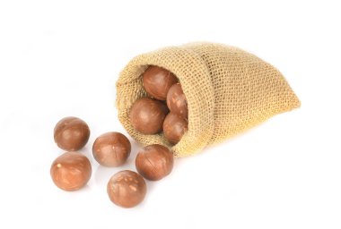 Beyaz arka planda Macadamia fındıkları