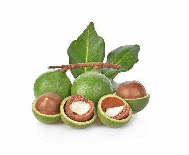 Beyaz arka planda Macadamia fındıkları