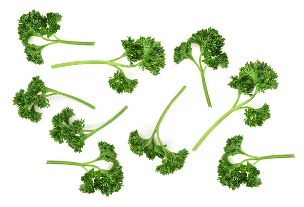 Top View Parsley Isolated White Background — Stock Photo, Image