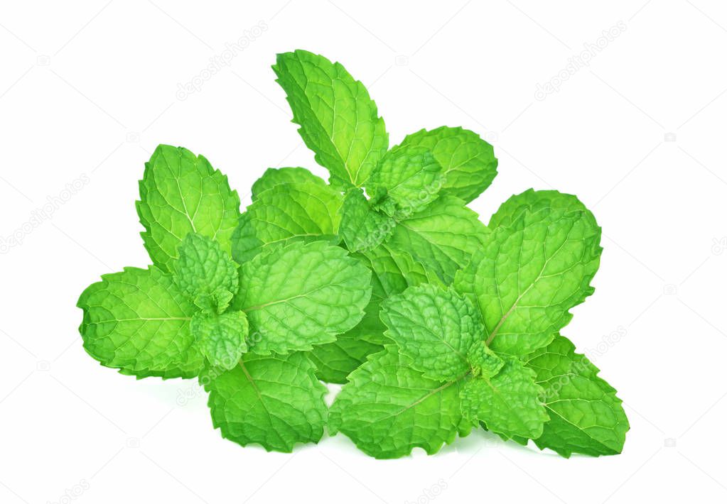 mint leafs herb. isolated on white background