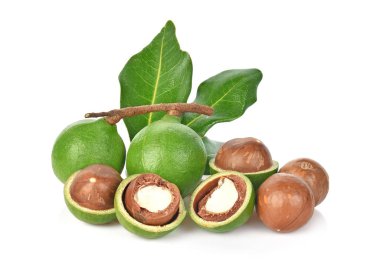 Beyaz arka planda Macadamia fındıkları