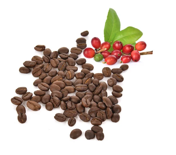 Čerstvé Kávová Zrna Izolované Bílém Pozadí — Stock fotografie