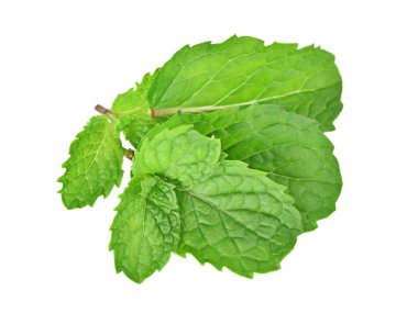 nane ot yapraklar. Beyaz arka plan üzerinde izole