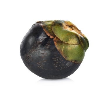 Toddy Palm beyaz arkaplanda izole edildi