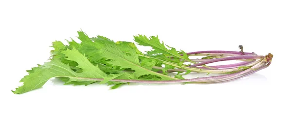 Frisches Mizuna Gemüse Isoliert Auf Weißem Hintergrund — Stockfoto