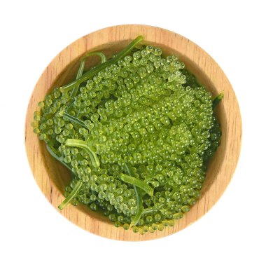 Umi-budou, üzüm yosun veya yeşil havyar beyaz arka plan üzerinde üstten görünüm izole 