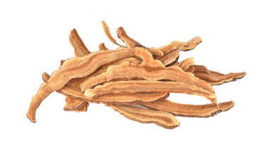   Beyaz arkaplanda Ganoderma lucidum izole.