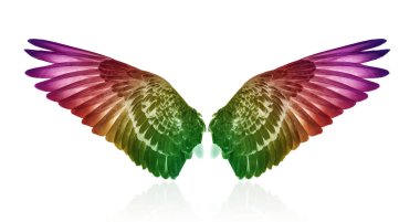 Yayılan beyaz zemin üzerine pinyon