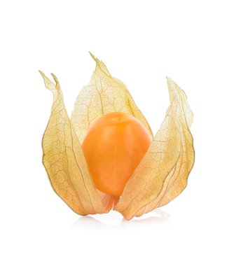 Beyaz arka planda yalıtılmış Cape bektaşi üzümü (physalis)