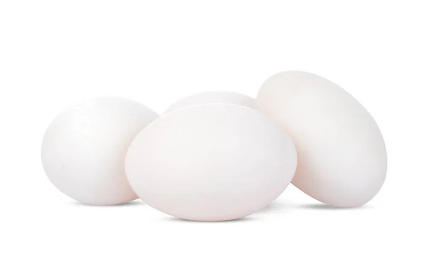 Duck Egg Isoleret Hvid Baggrund - Stock-foto