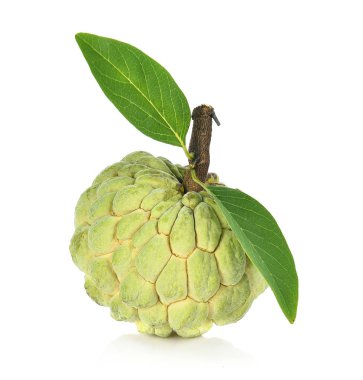 Muhallebi beyaz arka plan üzerinde annona izole elma