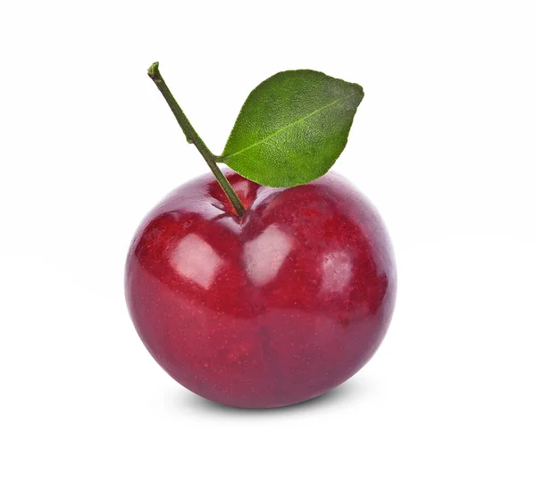 Czerwona Śliwka Wiśniowa Zielonymi Liśćmi Białym Tle — Zdjęcie stockowe