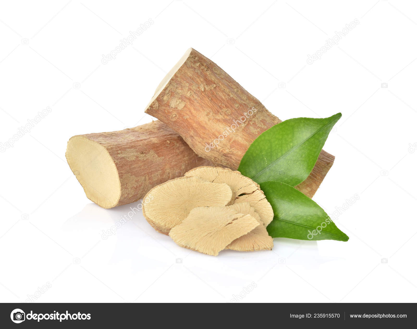 Eurycoma Longifolia Leaf White Background Stock Photo by ©krongkrang26 ...