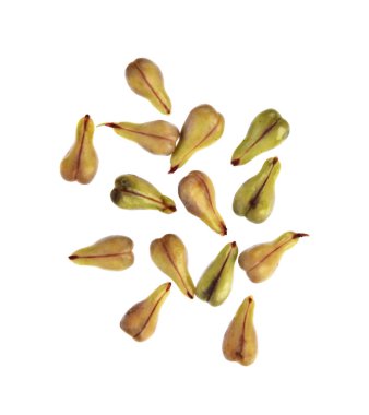 Beyaz arka plan üzerinde izole üzüm çekirdeği