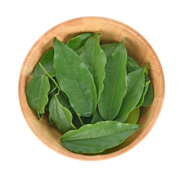 Yanang yaprak wooder kabın içinde üstten görünüm beyaz arka plan üzerinde 